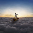 The Endless River (2014 EU Reissue) - Pink Floyd (Vinyl) (BD)