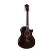 products_2FT25-C12CE-12FRET-B5049_2FT25-C12CE-12FRET-B5049_1756893289520.jpg