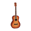 Cort Limited Edition Parlor Myrtlewood Acoustic Guitar w/Case, Vintage Sunburst