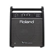 Roland PM-100 80 watt 1x10