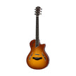 Taylor T5 Standard Electric Guitar w/Case, Honey Sunburst