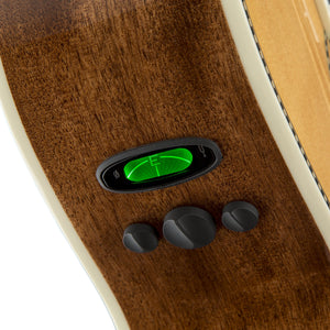 Fender PM-2E Standard Parlor Acoustic Guitar w/Case, Ovangkol FB, Natural