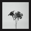 Dark Lotus - Jlin (Vinyl)