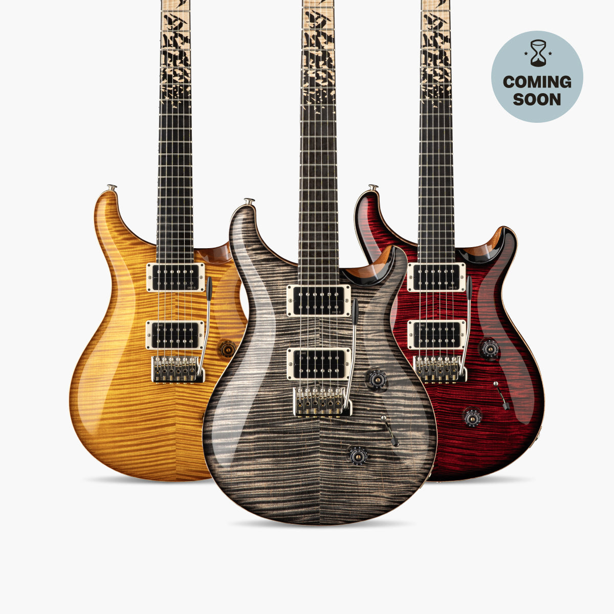PRS Custom 24 Birds of a Feather | Swee Lee Singapore