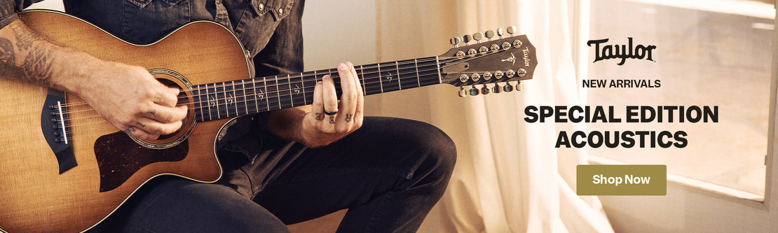 Taylor Special Edition Acoustics | Swee Lee Singapore