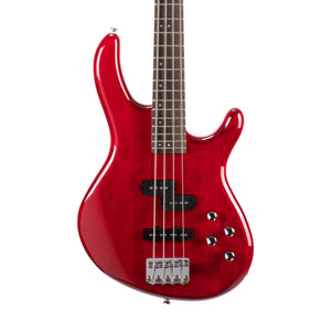 products_2FC18-ACTIONBASSPLUS-TR_2FC18-ACTIONBASSPLUS-TR_1723553370061.jpg