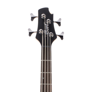 products_2FC18-ACTIONBASSPLUS-TR_2FC18-ACTIONBASSPLUS-TR_1723553370062.jpg