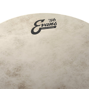 Evans TT18C7 18inch Calftone - Tom