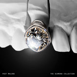 The Diamond Collection - Post Malone (Vinyl) (AE)