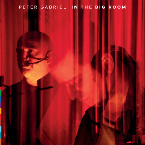 In The Big Room - Peter Gabriel (Vinyl) (AE)