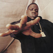 products_2FFLS-VINH-BD-0081227940966_2FFLS-VINH-BD-0081227940966_1779780817170.jpg