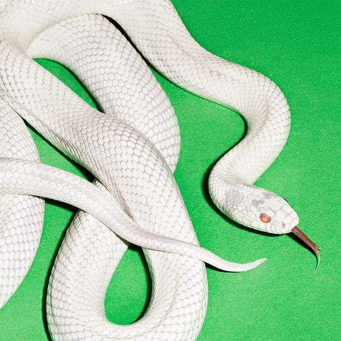 Private Music - Deftones (Vinyl) (BD)