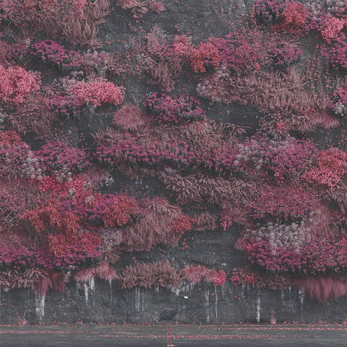 Even In Arcadia - Sleep Token (Vinyl) (BD)