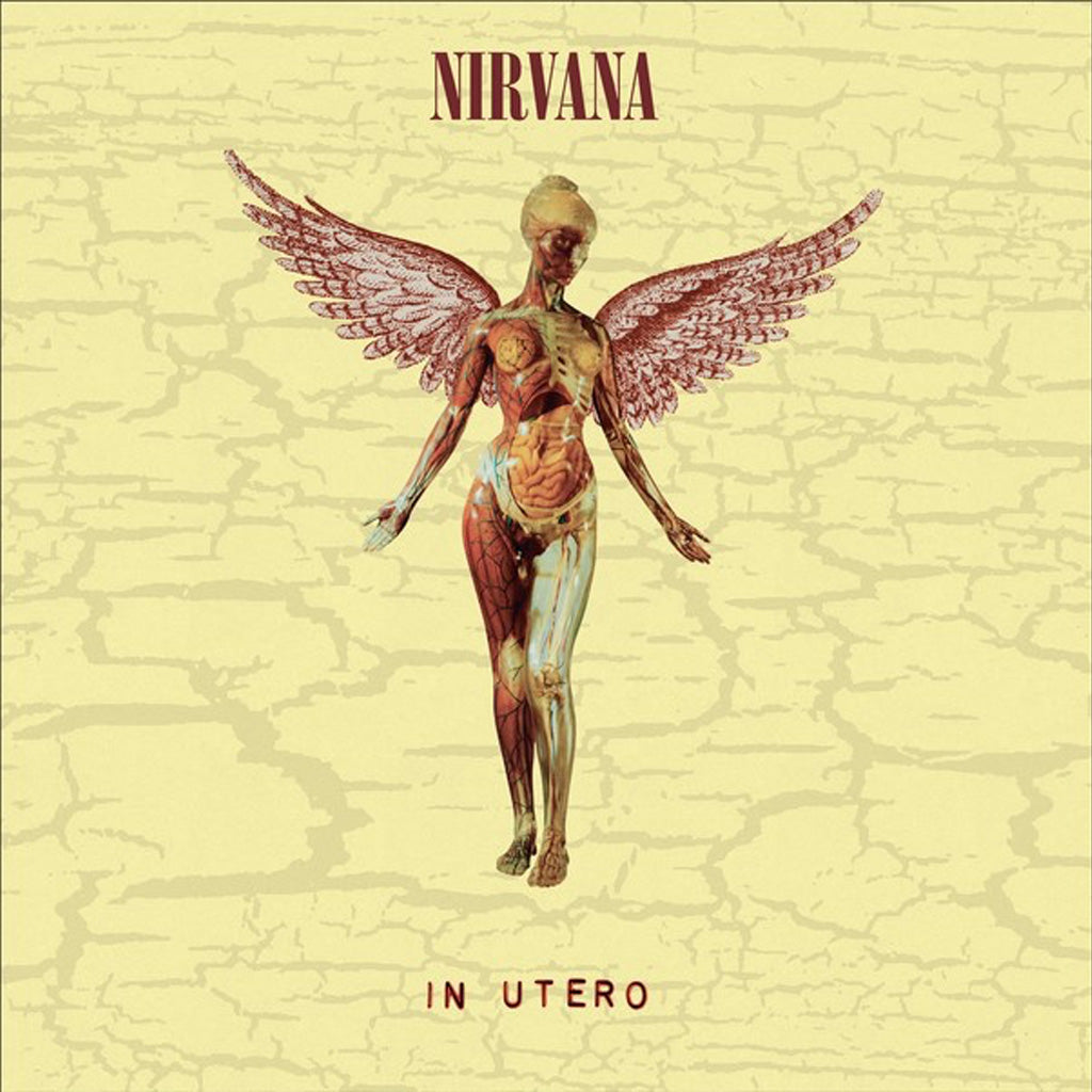 NIRVANA レコード　IN UTERO In Utero (2023 Reissue) - Nirvana (Vinyl) (BD) – Swee Lee Singapore