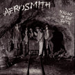 Night in the Ruts (2023 Reissue) - Aerosmith (Vinyl) (BD)