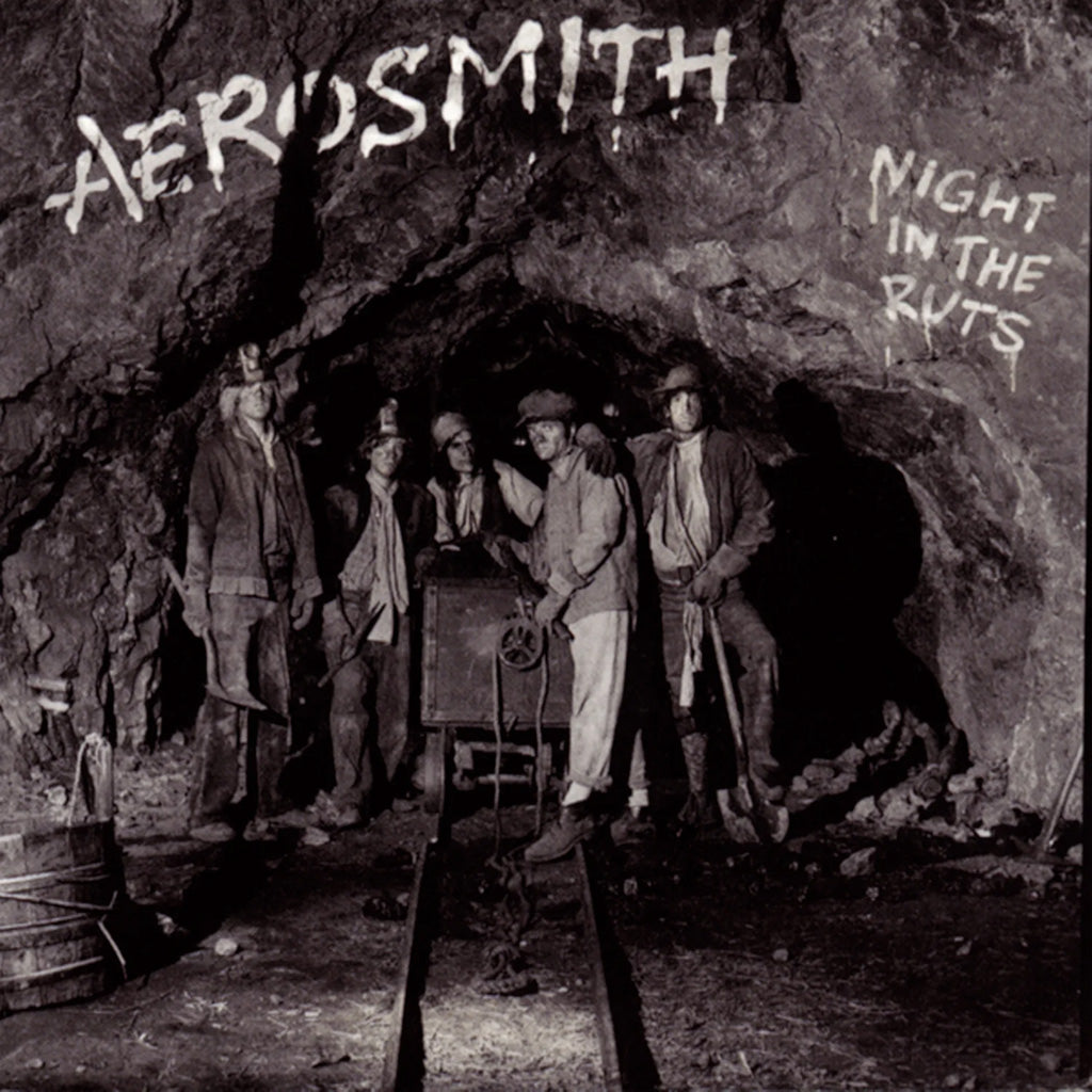 Night in the Ruts (2023 Reissue) - Aerosmith (Vinyl) (BD)