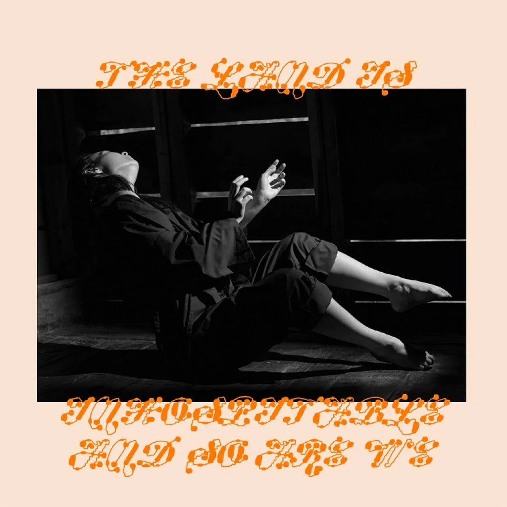 The Land Is Inhospitable and So Are We (EU Press) - Mitski (Vinyl) (BD)