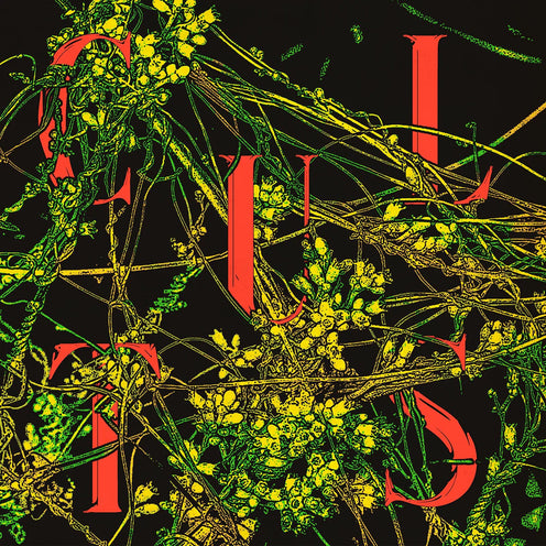 Host (Green Coloured) - Cults (Vinyl) (LD)