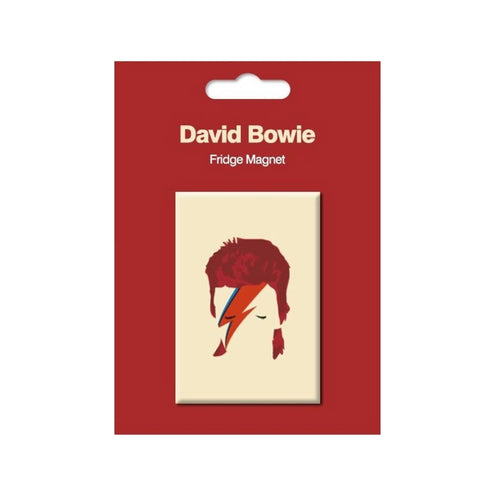 Hal Leonard My World: David Bowie Fridge Magnet, Aladdin Sane
