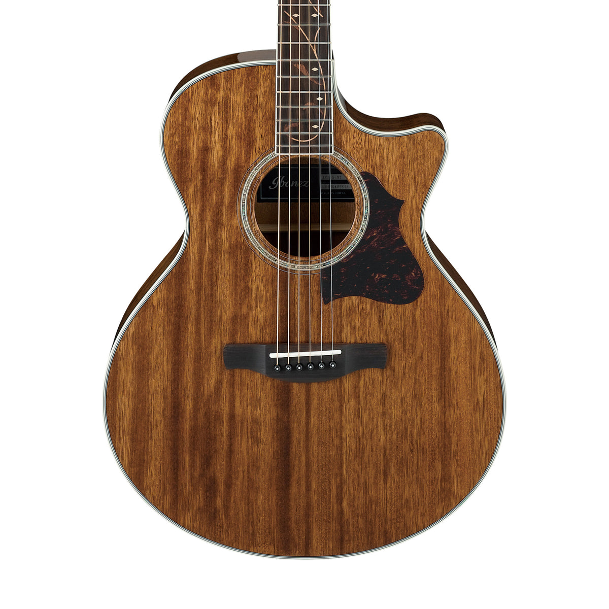 Ibanez AE245-NT Acoustic Guitar, Natural High Gloss – Swee Lee
