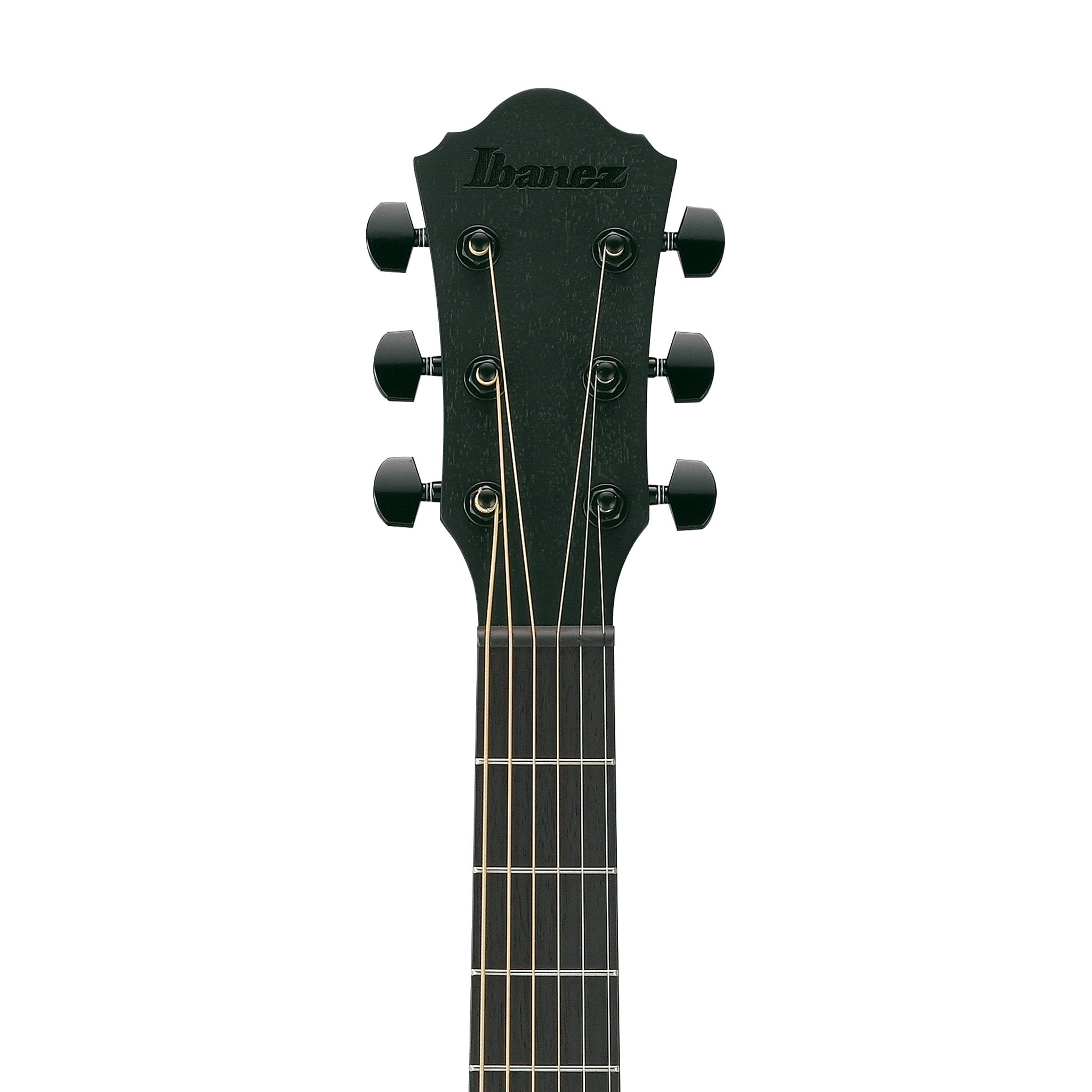 Ibanez AEWC621-BOT Acoustic-Electric Guitar, Black Out – Swee Lee