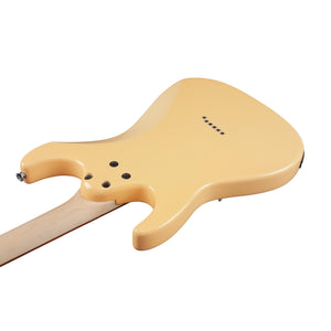 products_2FI01-AZES31-IV_2FI01-AZES31-IV_1630569118005.jpg