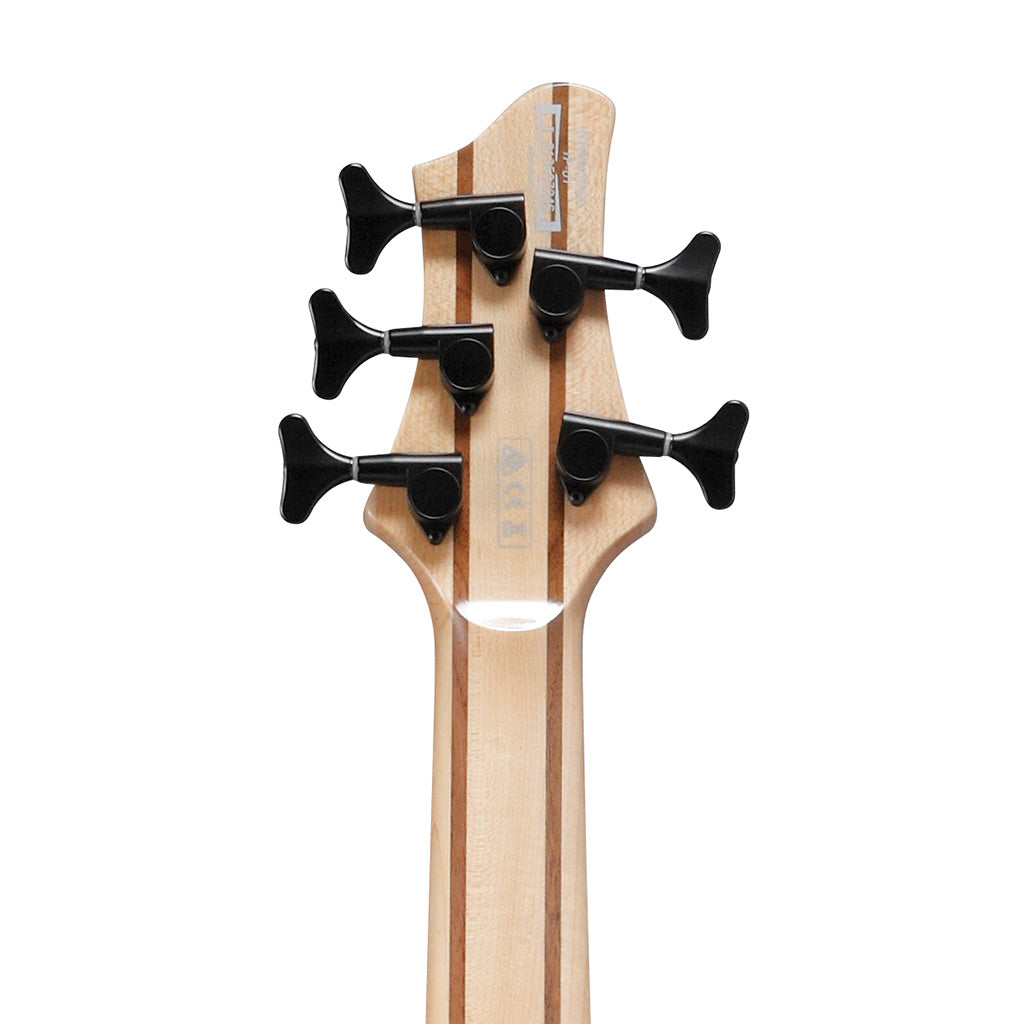 Ibanez Bass Workshop BTB865SC-WKL 5-String Bass Guitar, Weathered