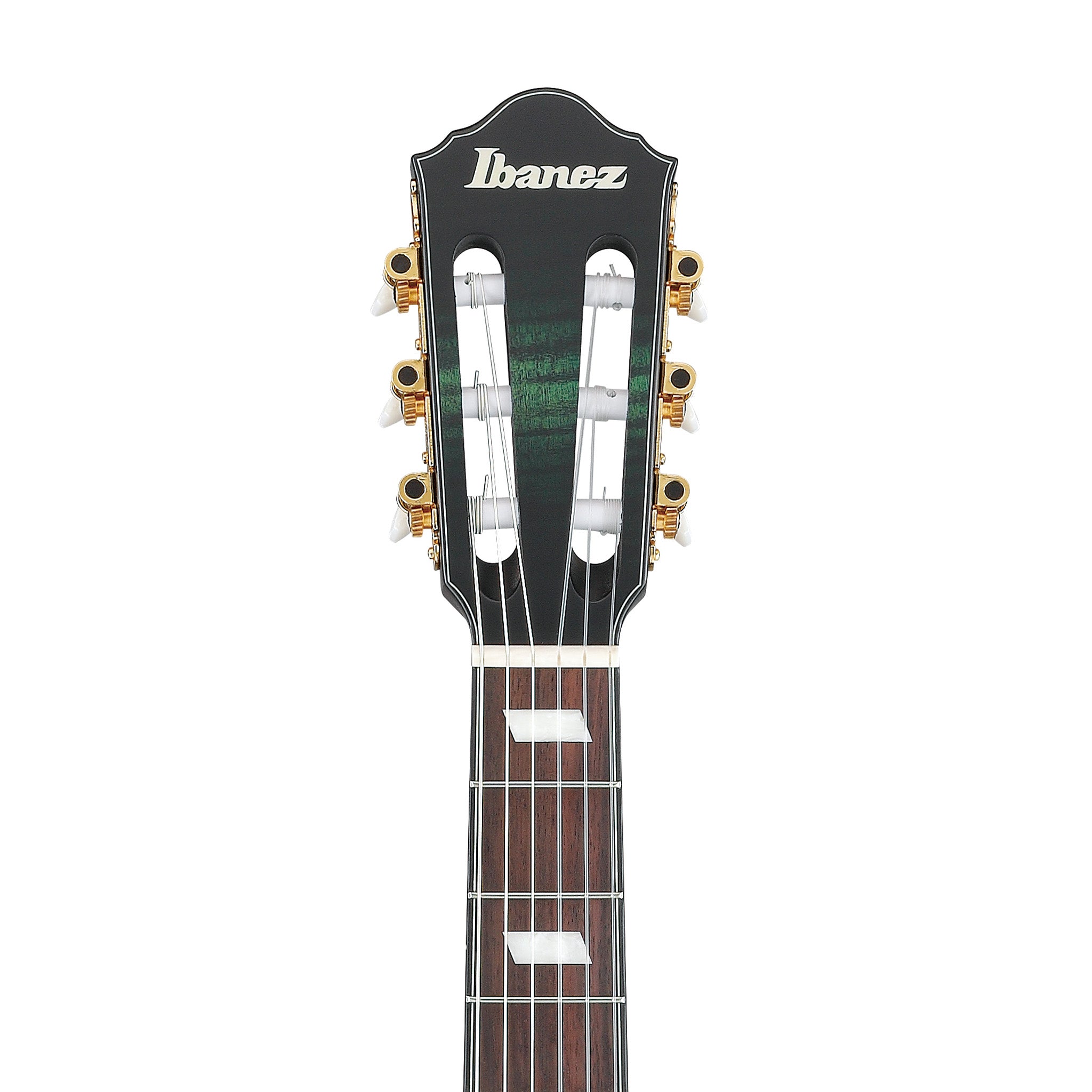 Ibanez FRH20FMN-DGL Acoustic-Electric Guitar, Deep Emerald Green