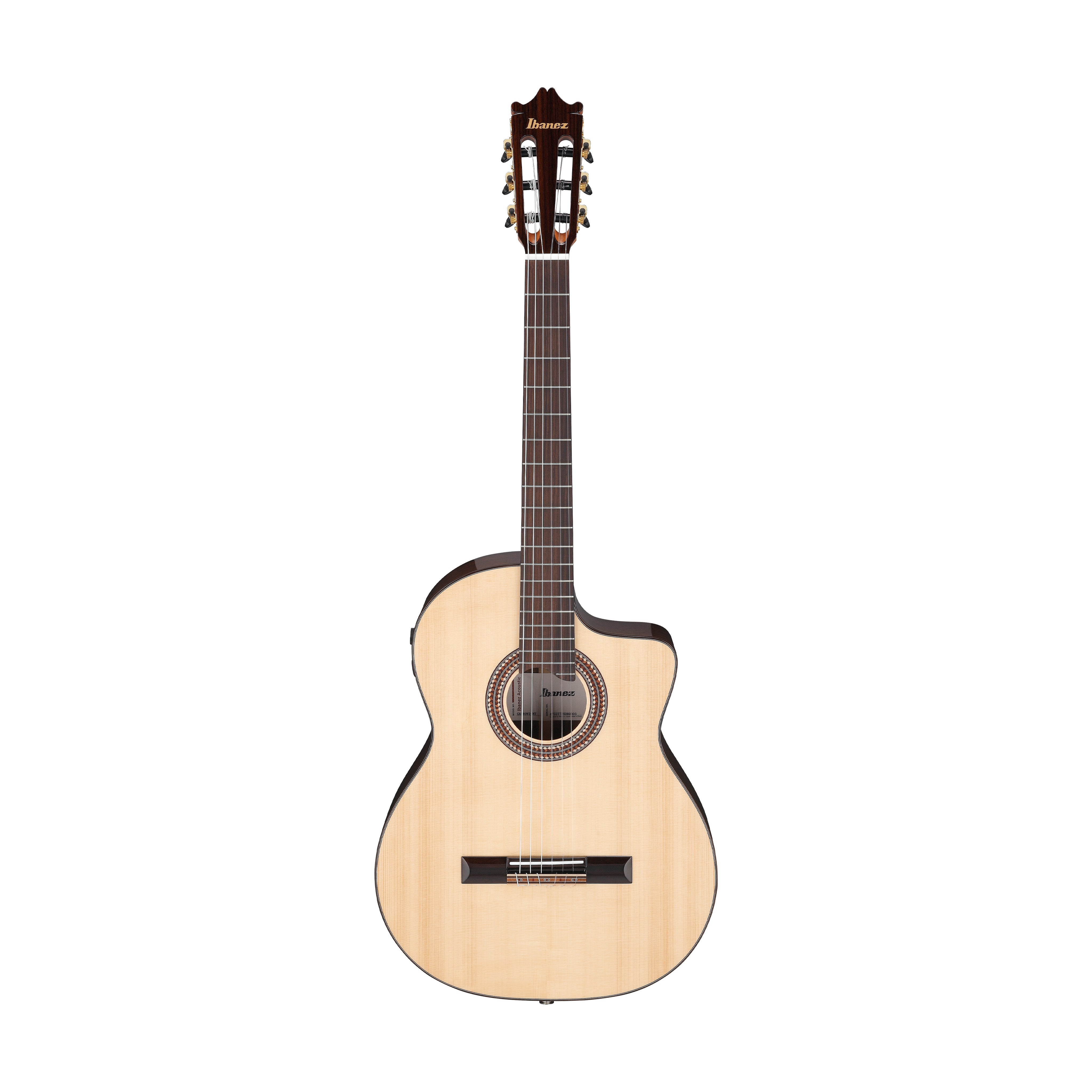 Ibanez GA380CE-NT Classical Acoustic-Electric Guitar, Natural
