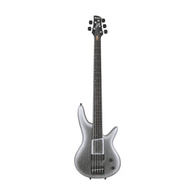 Ibanez GWB25TH-SWF 5-String Electric Bass Guitar w/Gig bag, Silver Wave Burst Flat