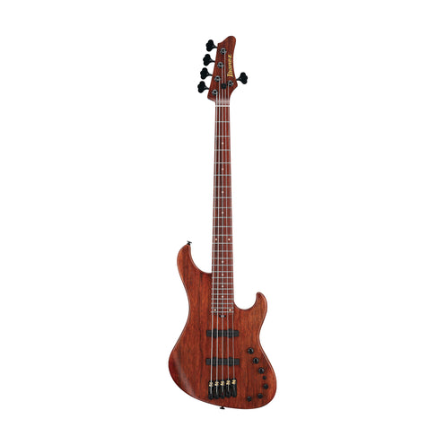 Ibanez Japan Custom Shop Visions IV2MDM Mode 5-String Bass Guitar /Case, Natural Black Limba