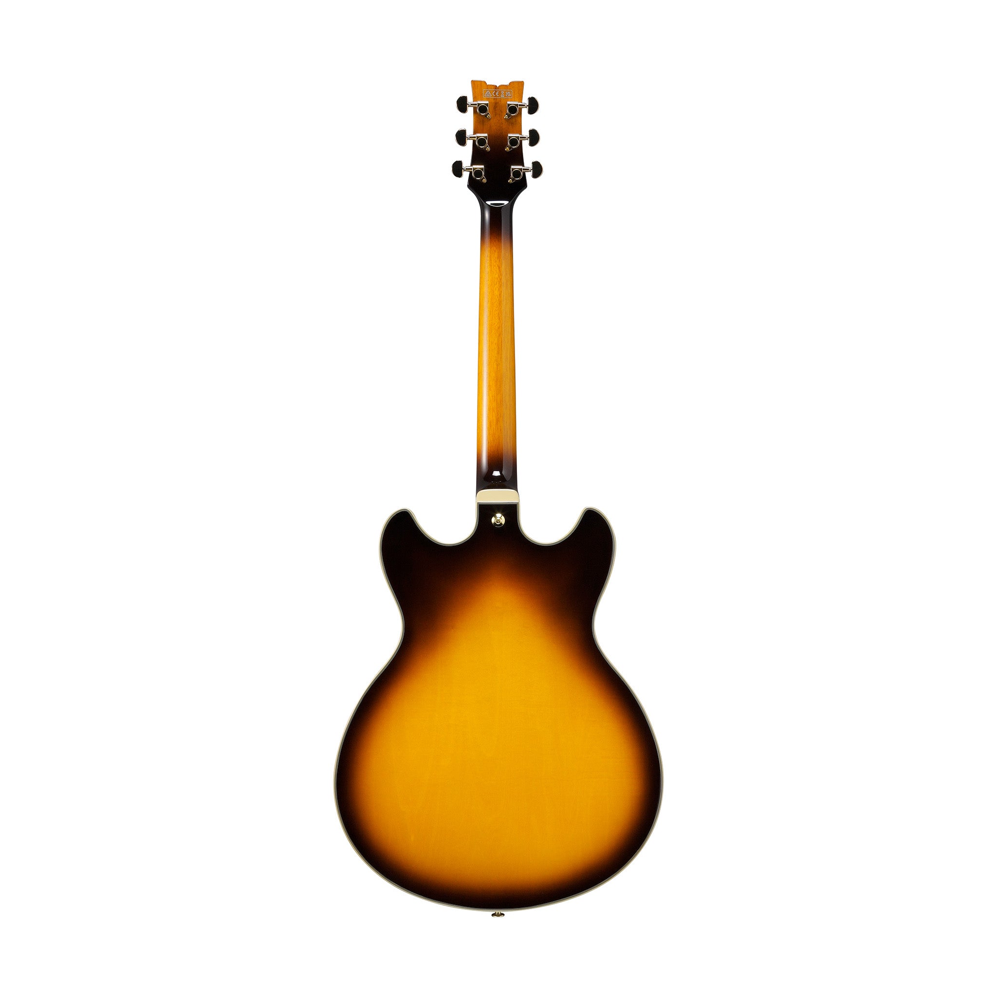 Ibanez JSM10EM John Scofield Signature Electric Guitar, Two-Tone