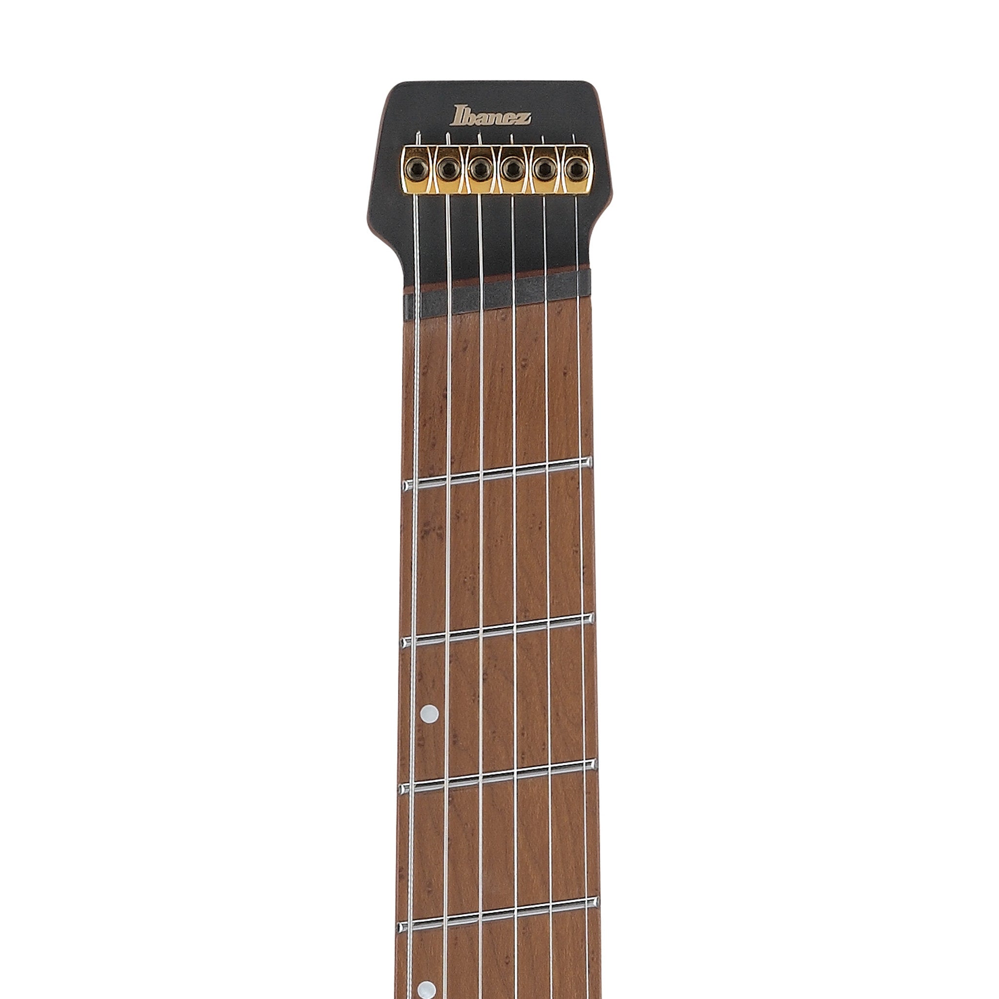 ギター Ibanez MGFM10 Manuel Gardner Fernandes Ibanez MGFM10-OBL Manuel Gardner Fernandes Signature Electric