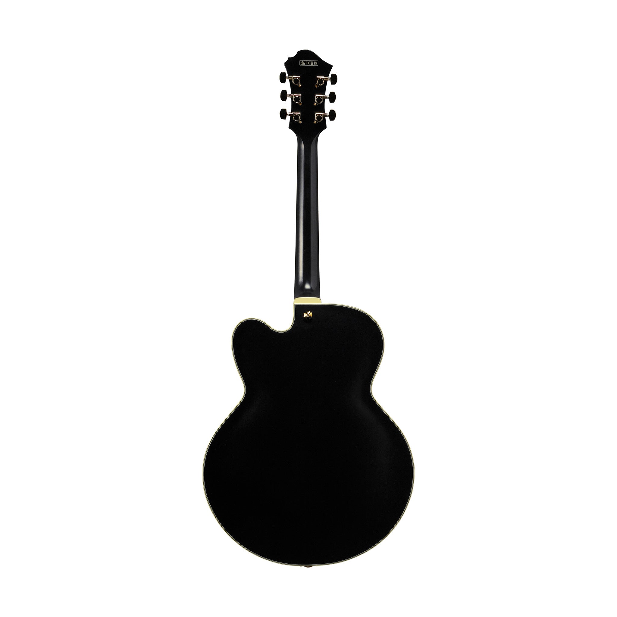 ハウバー ブラインド ブレイル ギター Ibanez PM3C-BKL Pat Metheny Signature Hollowbody Electric Guitar w