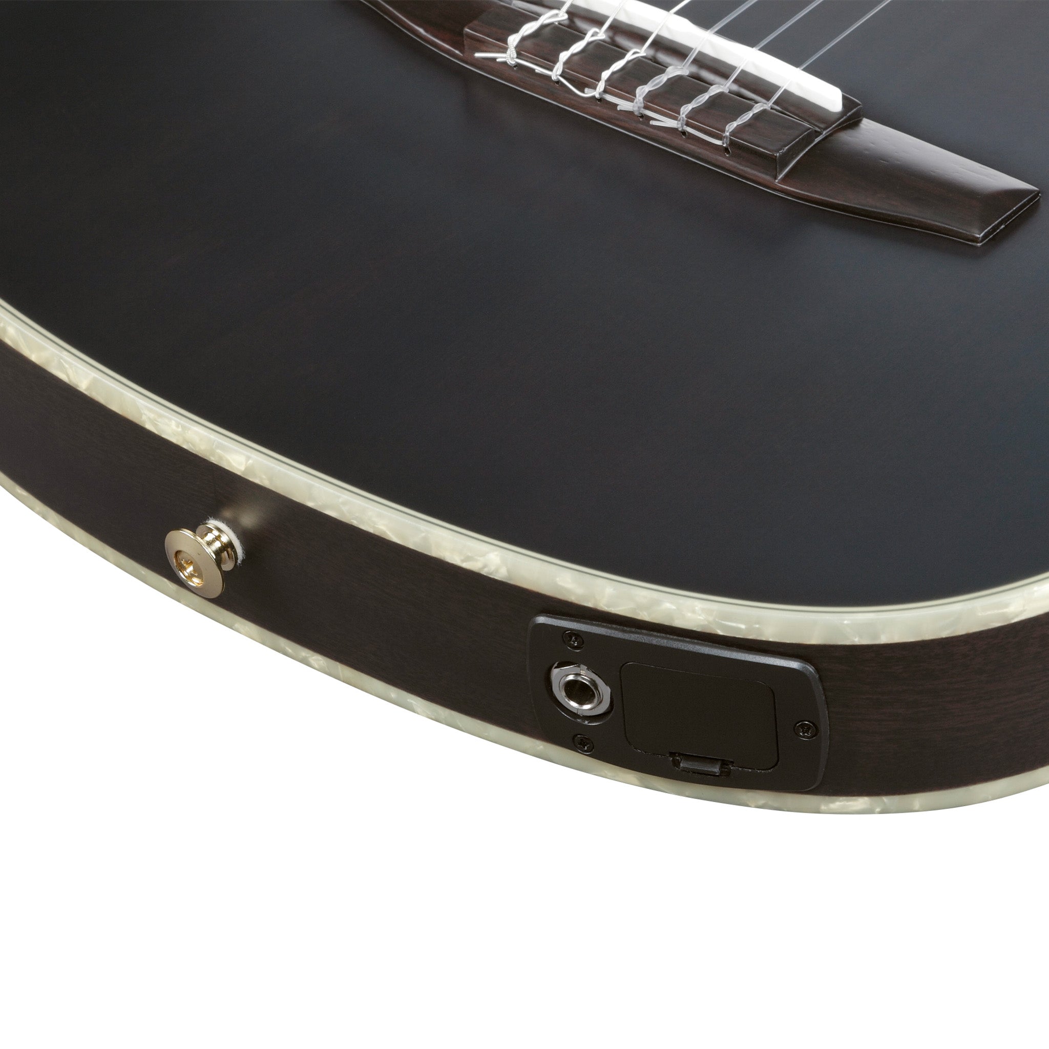 Ibanez TOD10N-TKF Tim Henson Signature Nylon String Guitar