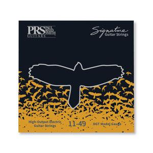 PRS Signature David Grissom Electric Guitar Strings, 11-49
