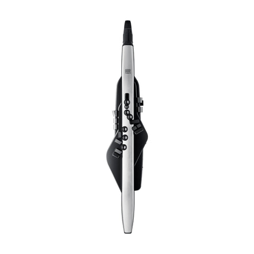 Roland Aerophone Pro AE-30