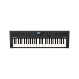 Roland GO:KEYS 5 Keyboard - Graphite – Swee Lee Singapore
