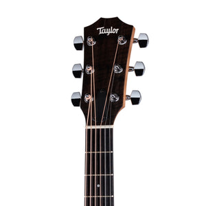 Taylor 117e Acoustic-Electric Guitar w/Case
