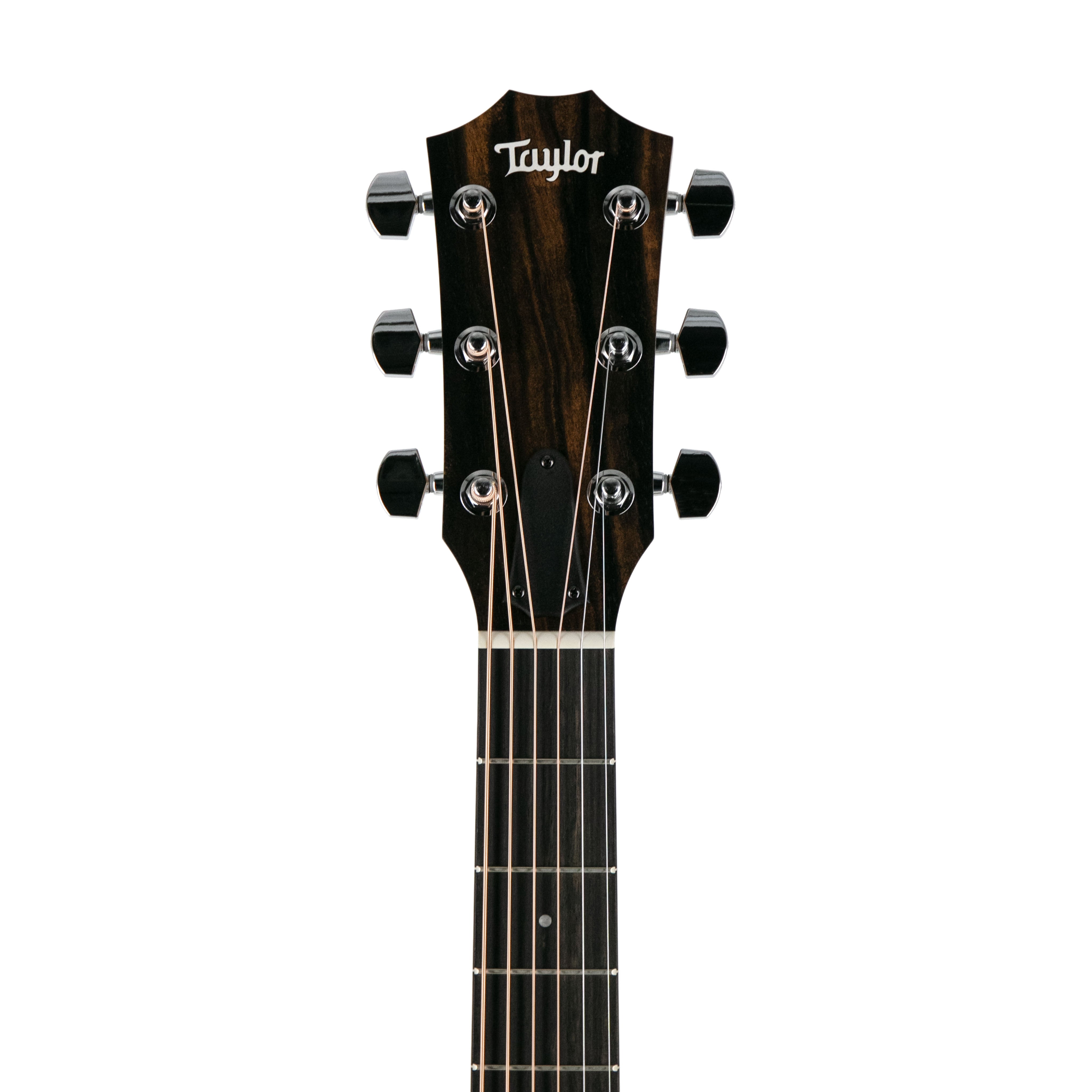 Taylor 124ce Special Edition Grand Auditorium Acoustic Guitar w
