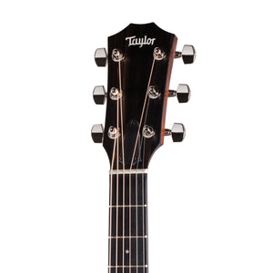 Taylor 224ce Special Edition Mahogany/Sapele Acoustic Guitar w/Bag, Blackwood Stain