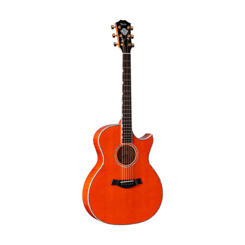 Taylor Doyle Dykes Signature Model Acoustic Guitar