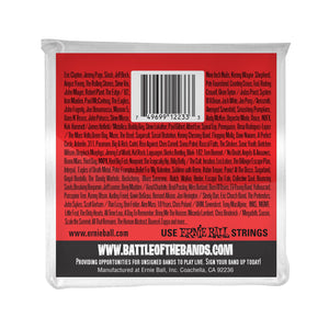 Ernie Ball Light 12-String Nickel Wound Electric Guitar Strings