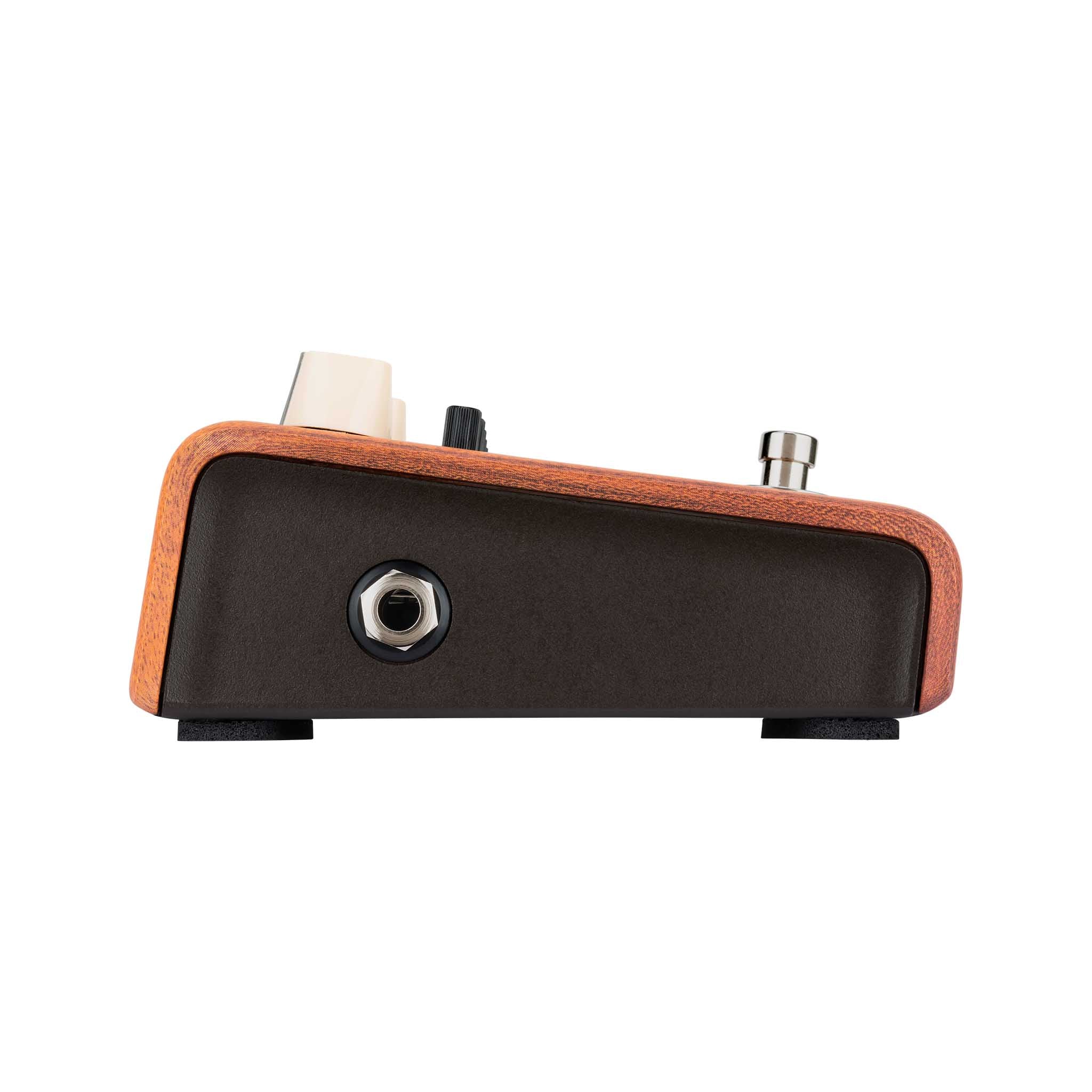LR Baggs Align Series Equalizer Acoustic Pedal – Swee Lee Singapore