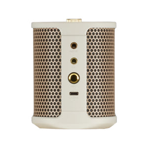 Roland Bluetooth Speaker with Instrument Input