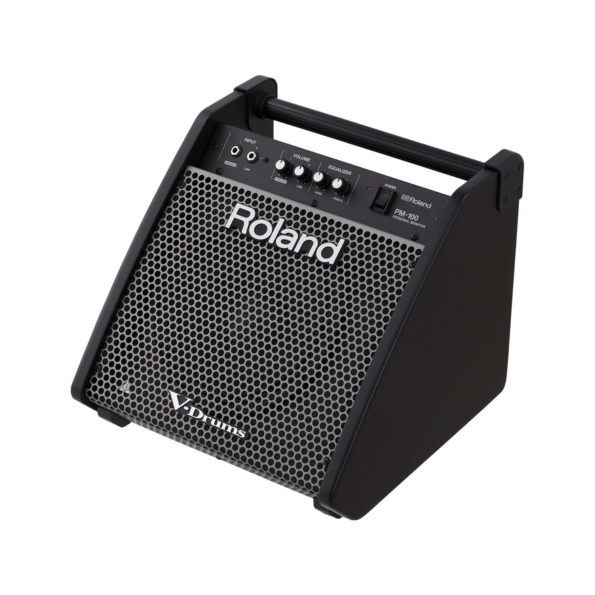 Roland PM-100 80 watt 1x10