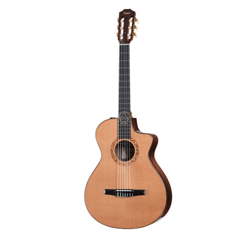 Taylor Jason Mraz Signature Grand Concert Nylon String Acoustic