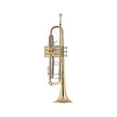 Bach 19037 Stradivarius Series 50th Anniversary Bb Trumpet, Gold Plated