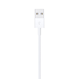 Apple Lightning to USB Cable, 1m