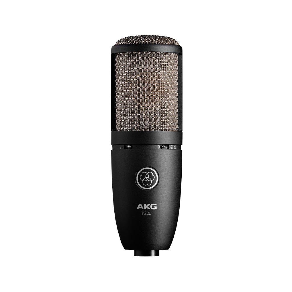 AKG P220 Large-Diaphragm Condenser Microphone
